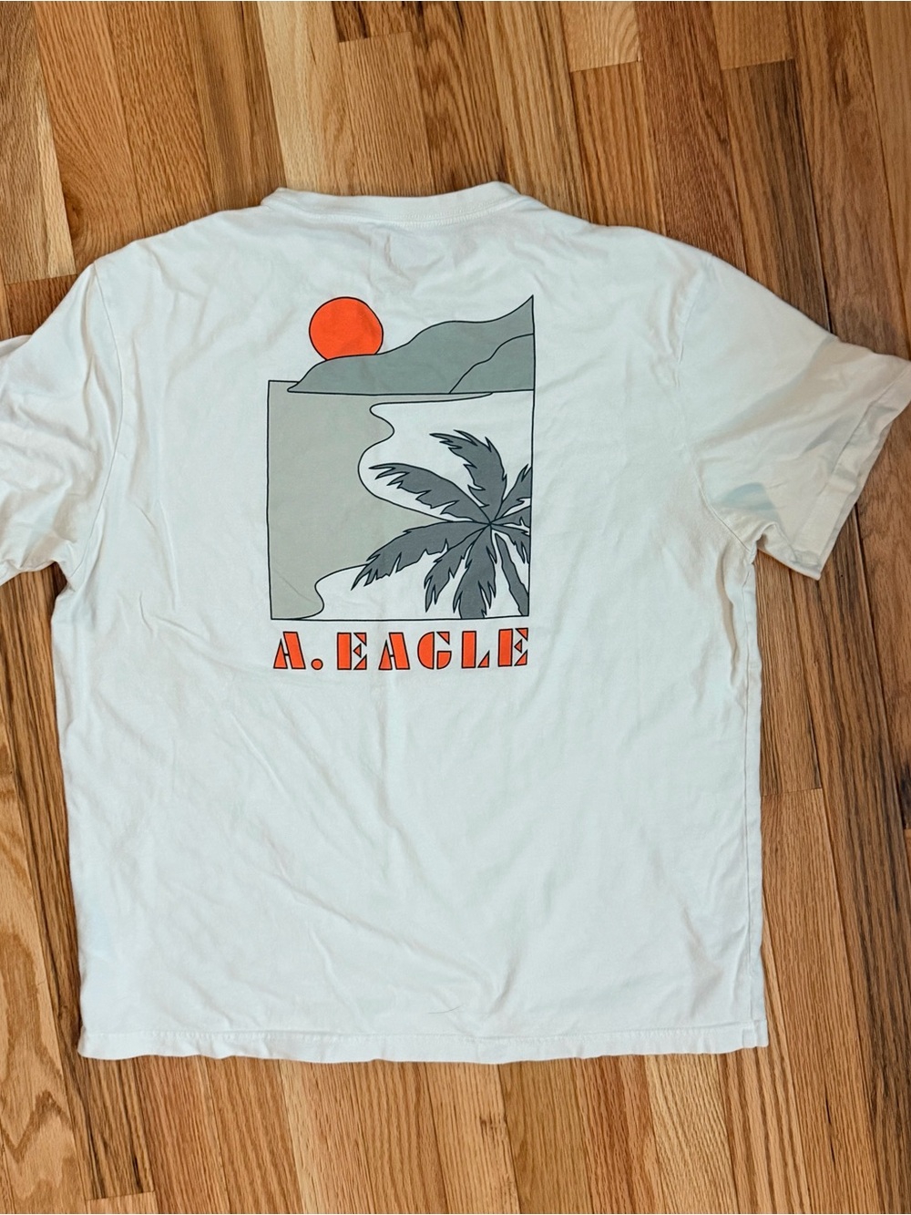 American Eagle Outfitters White Tee with Gray Palm and Orange Sun Graphic